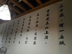 -蒋六十八梯眼镜面(狮子坪店)