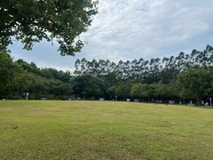 -火炉山森林公园