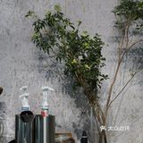 打卡ins风咖啡店～