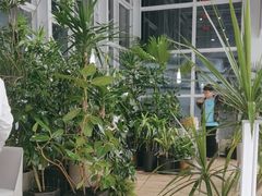 -大树餐厅(红旗街万达店)