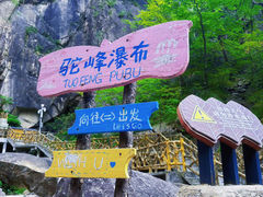 -洛阳白云山景区
