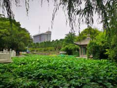 -莲湖公园