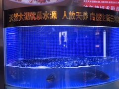 -潇湘码头·鲜湘菜(清河店)