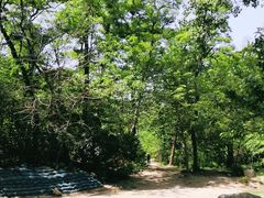 -白水寺森林公园