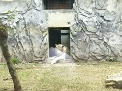 -黔灵山公园