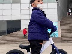 -稚马儿童平衡车自行车俱乐部