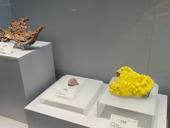 -湖南省地质博物馆