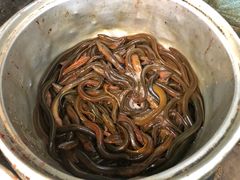 -百年粉蒸牛肉