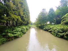 -升仙湖公园