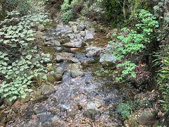 -鼎湖山风景区