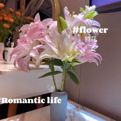 -哈颜科技轻美·