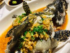-强记海鲜·大排档(蛇口新街店)