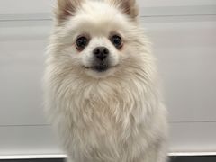 -comecome来吧宠物(奥克斯中心店)