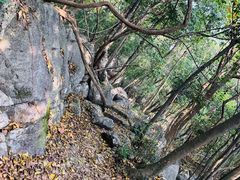 -玉女潭景区