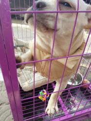 -茶发Salon·烫发染发理发