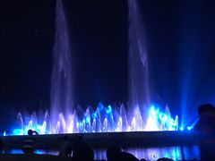 -仙湖旅游度假区