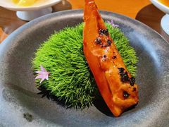 -觀芷隐轩