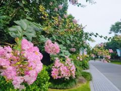 -杭州城北体育公园