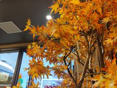 -东北范·金牌肘子·杀猪菜(美乐城店)