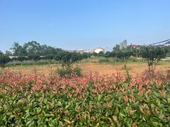 -千龙湖生态旅游度假区