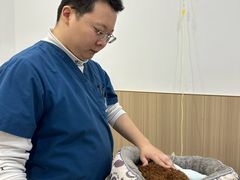 -申普宠物医院·眼科·心内科·影像科(普陀分院)