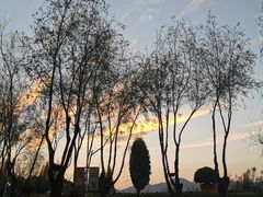 -怡得观滇餐厅·地道昆明菜·1996(海埂大坝店)