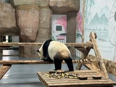 -无锡动物园·太湖欢乐园