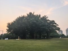 -南宁南湖公园