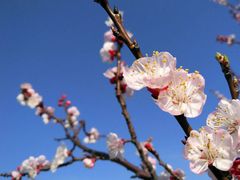 -三块石国家森林公园