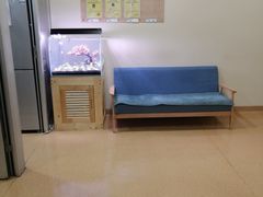 -芭比堂宠物医院·全科爱猫医院·仁德分院