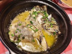 -好爸爸(印象城旗舰店)