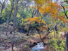-玉渡山自然风景区