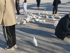 -天津妈祖文化园