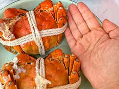 -阳澄湖大闸蟹·琼灵阁牌品牌连锁(吴中总店)