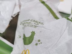 -麦当劳(北京大兴机场二层国内到达(安检外)店)