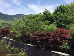 -溪口-滕头旅游景区