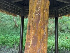-海南文笔峰盘古文化旅游区