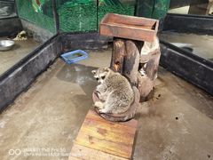 -荆州中山公园动物园