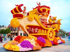 -荷兰花海