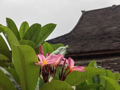 -西双版纳傣族园