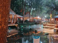 -二荆条·蜀鲜汇城市森林火锅