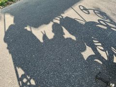 -昆山城市生态森林公园