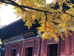 -红螺寺
