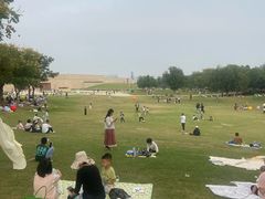 -盘龙城国家考古遗址公园