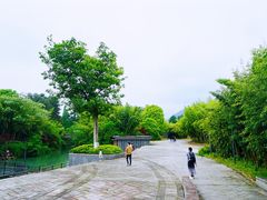 -安吉竹博园