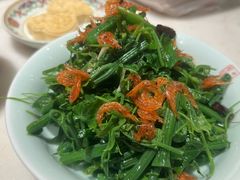 小红虾丝瓜尖-小吊梨汤·北京菜·烤鸭(鸟巢店)