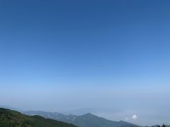 -武陵山森林公园