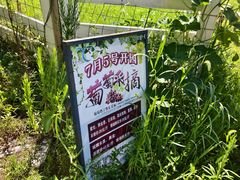 -嘉北郊野公园