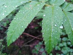 -峡谷浮石林景区