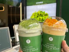 -茉酸奶(春熙路店)